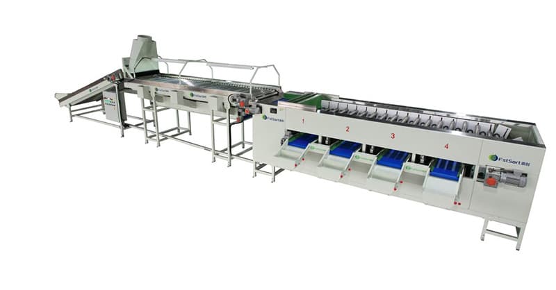 images/1693296332271clasificador de cebolla.jpg